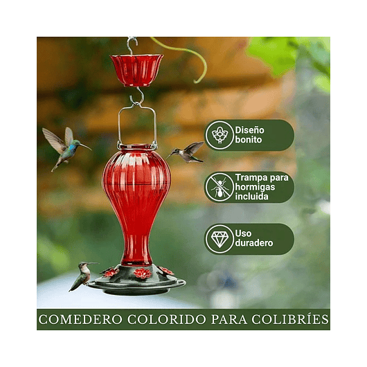 Bebedero De Colibríes Aves Colgante 24 Oz Botella en Vidrio Vintage 6