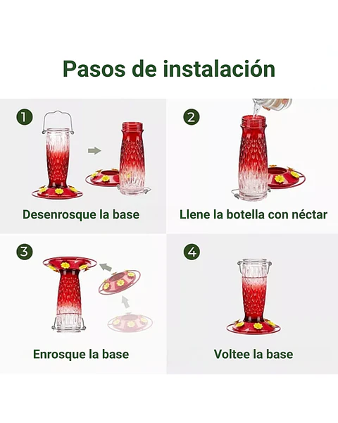 Colibries Bebedero Premium de Aves de Colgar Botella en Vidrio
