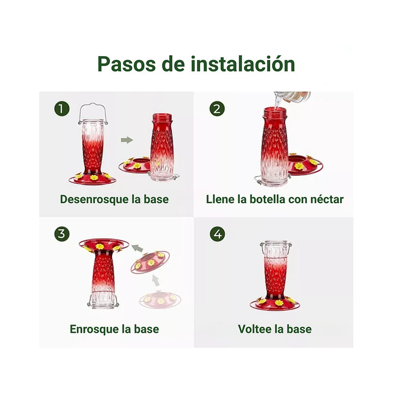 Colibries Bebedero de Aves de Colgar Botella en Vidrio 3