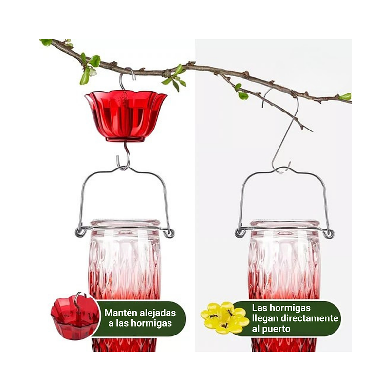 Colibries Bebedero de Aves de Colgar Botella en Vidrio 4