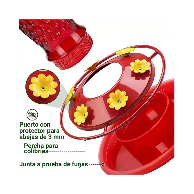 Colibries Bebedero de Aves de Colgar Botella en Vidrio 6
