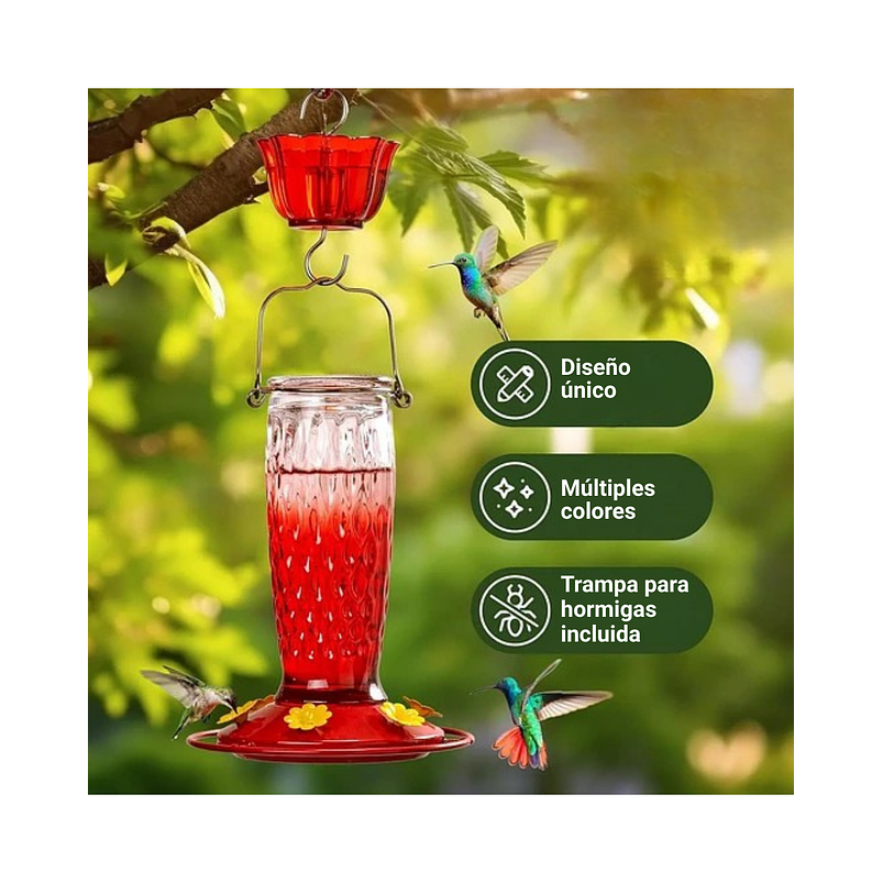 Colibries Bebedero de Aves de Colgar Botella en Vidrio 7