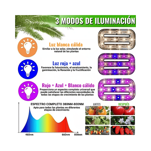 Luces Led Espectro Completo para Cultivo Plantas De Interior 5