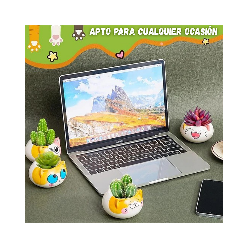 Juego Macetas x8 Unidades Cerámica Diseño Gatos 4