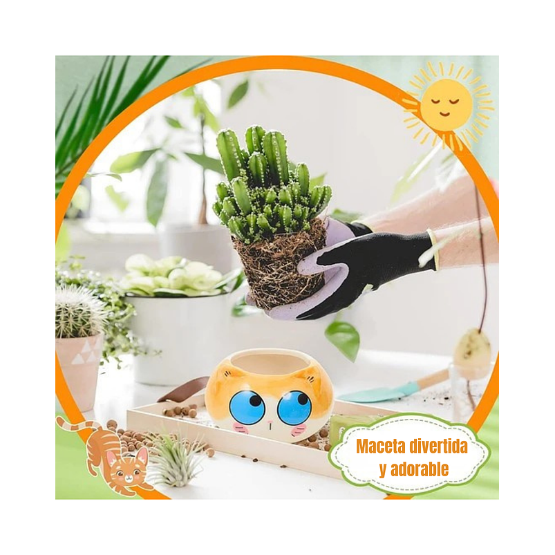 Juego Macetas x8 Unidades Cerámica Diseño Gatos 5