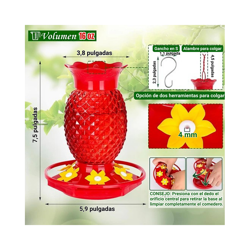 Bebedero Colibrí 16oz Diseño Piña Rojo Jardín Exterior 2