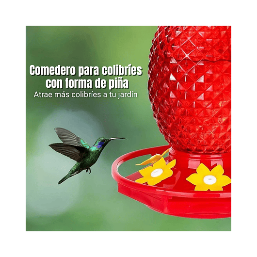 Bebedero Colibrí 16oz Diseño Piña Rojo Jardín Exterior 4