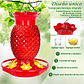 Bebedero Colibrí 16oz Diseño Piña Rojo Jardín Exterior - Miniatura 5