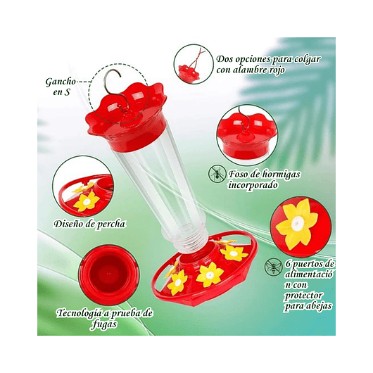 Bebederos de Colibríes Aves con Botella En Vidrio de 10oz X2 Unid 3