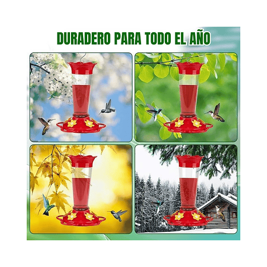 Bebederos de Colibríes Aves con Botella En Vidrio de 10oz X2 Unid 5