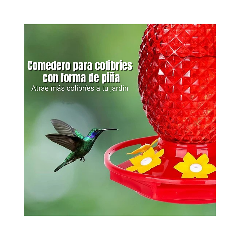 Bebedero Colibrí 16oz Diseño Piña Rojo Jardín Exterior x2 unidades 4