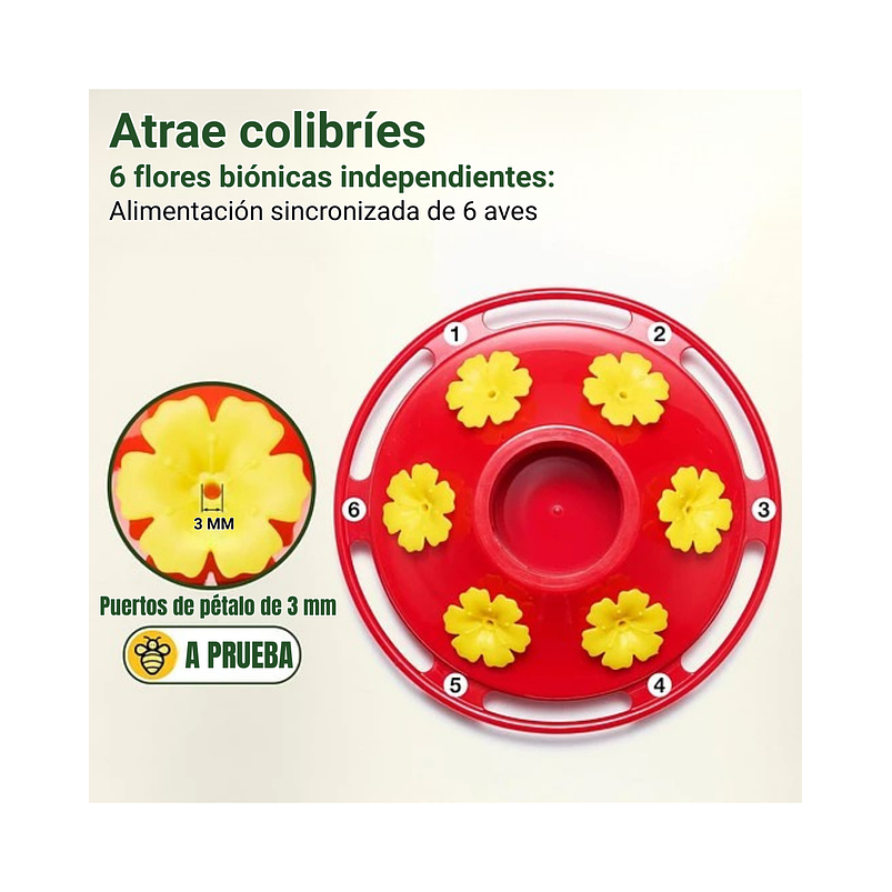 Bebedero Colibríes 01 Unid Aves Colgante Vidrio x6 Flores 3