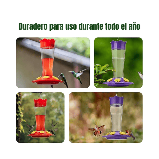 Bebedero Colibríes 01 Unid Aves Colgante Vidrio x6 Flores 5