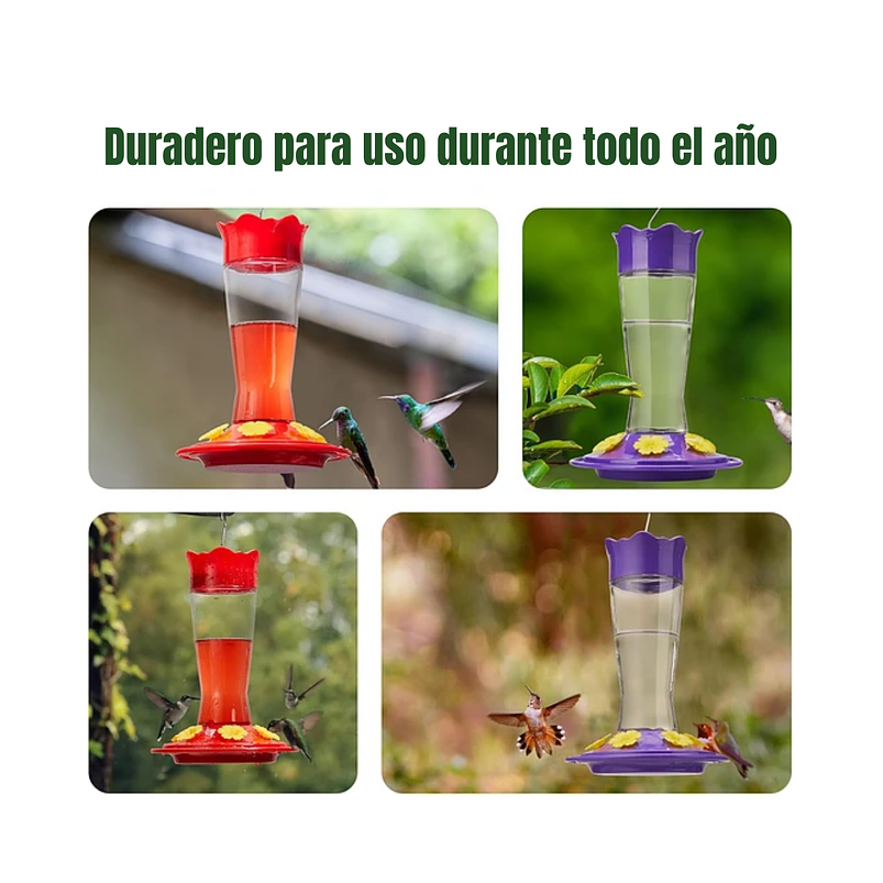 Bebedero Colibríes 01 Unid Aves Colgante Vidrio x6 Flores 5