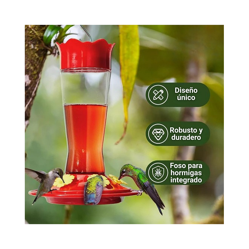 Bebedero Colibríes 01 Unid Aves Colgante Vidrio x6 Flores 6