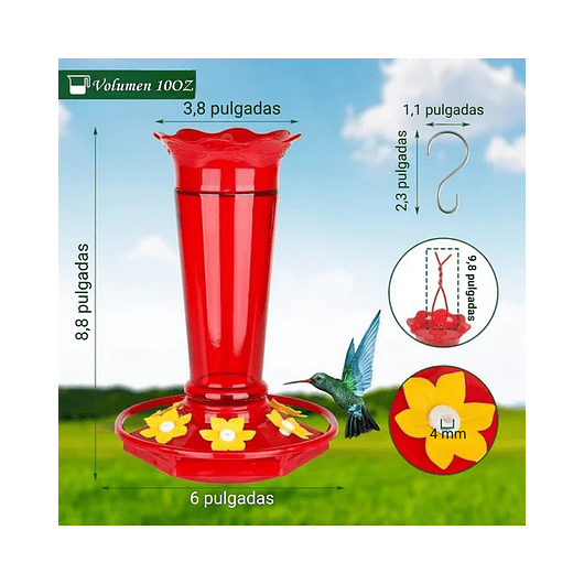Bebedero Colibríes Aves Jardín Botella en Vidrio 10oz 7