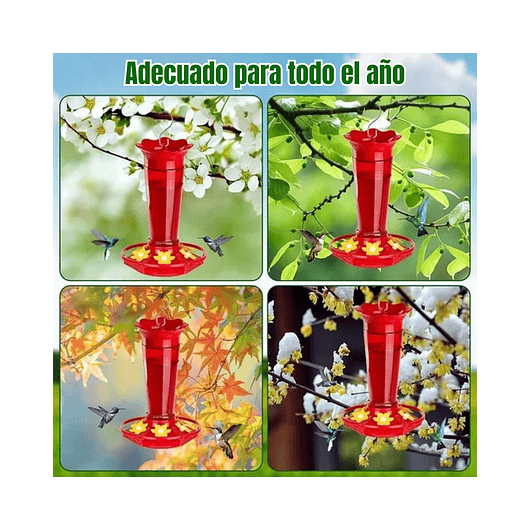 Bebedero Colibríes Aves Jardín Botella en Vidrio 10oz 11