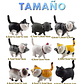 Set Figuras Decorativas De Terrarios Mini Gatos en Resina - Miniatura 2