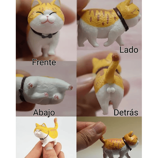 Set Figuras Decorativas De Terrarios Mini Gatos en Resina 4