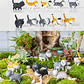 Set Figuras Decorativas De Terrarios Mini Gatos en Resina - Miniatura 6