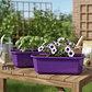 Maceta Plástica Rectangular X2 Und Jardinera X40cm De Largo - Miniatura 15