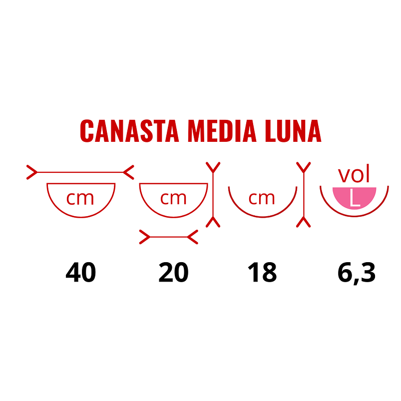Canasta Plantas Pared x2 Unidades más nido Coco x40cm Media Luna 2