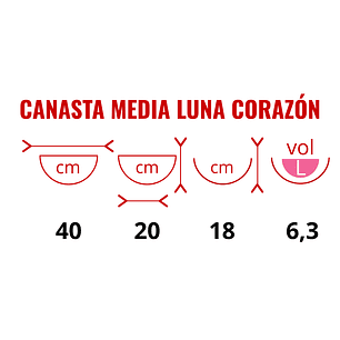 Canasta Plantas Pared X2 Und + Nido Coco Corazón X40cm