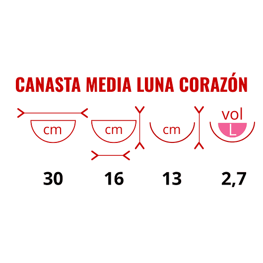 Canasta Plantas Pared X2 Und +nido Coco Corazón X30cm 2