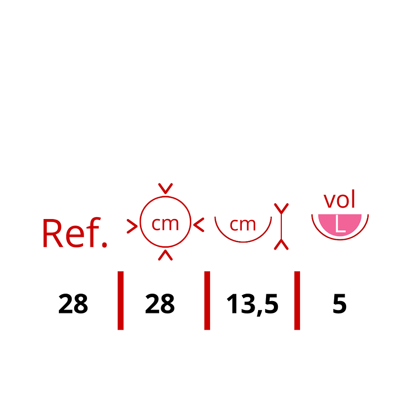 Canasta de colgar para plantas más nido de coco x28 cm diámetro 2