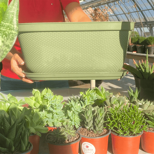 Maceta Plástica X2 Und Jardinera X40cm Largo + Plato 8