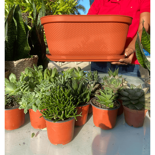 Maceta Plástica X2 Und Jardinera X40cm Largo + Plato 7