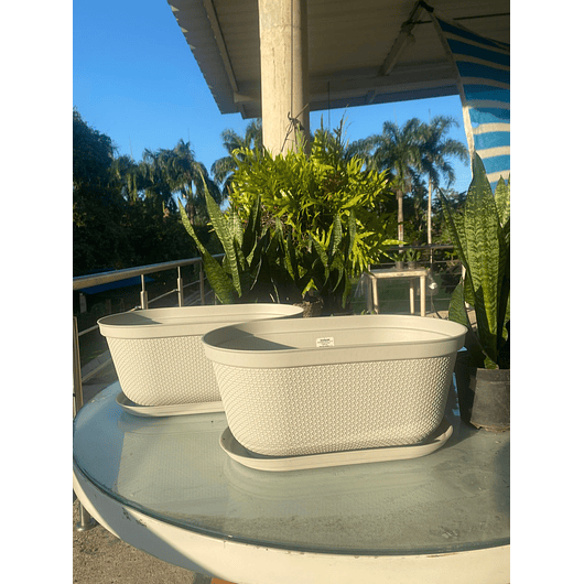 Maceta Plástica X2 Und Jardinera X40cm Largo + Plato 12