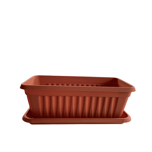 Matera Plástica Rectangular De 35 centímetros Largo Más Plato 1