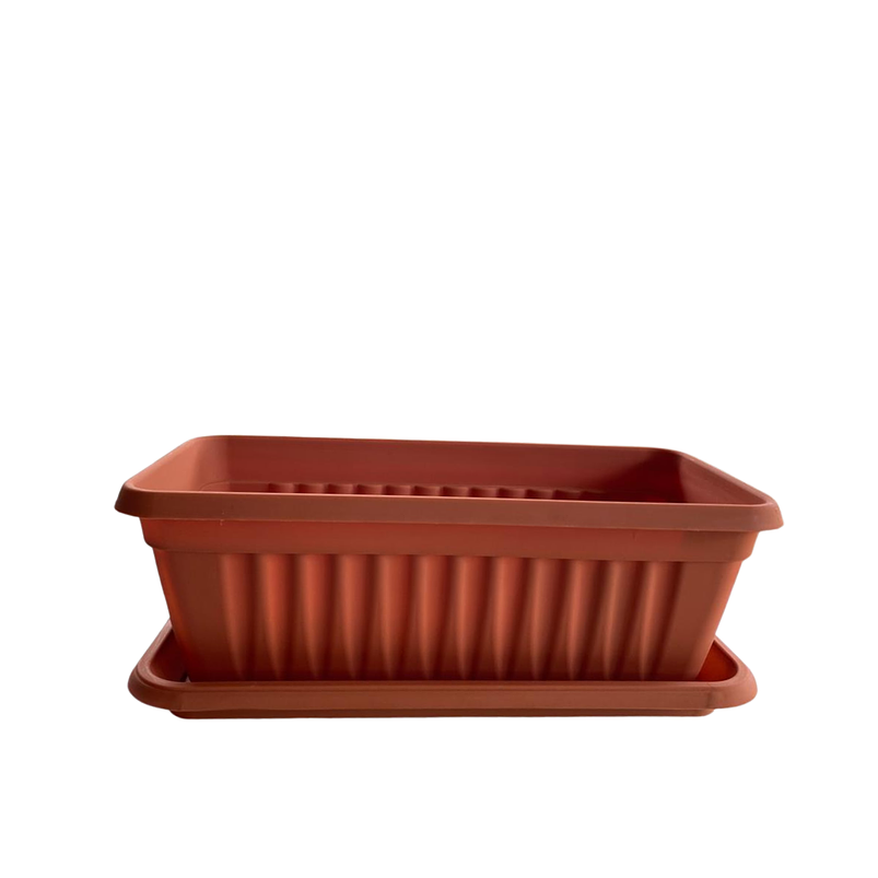 Matera Plástica Rectangular De 35 centímetros Largo Más Plato 1