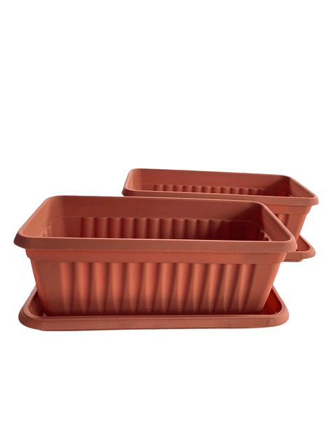 Maceta Plástica Rectangular x 2 Unidades de 45 centímetros Largo Más Plato