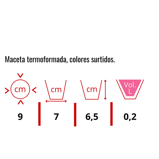 Matera plástica tipo vivero x25 unidades color 9cm diámetro x7cm alto 14