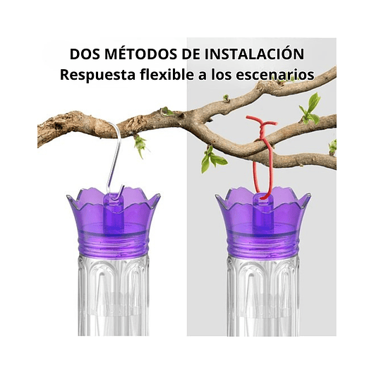 Bebedero Aves Colibríes Plástico De Jardín Colgante x600ml 4