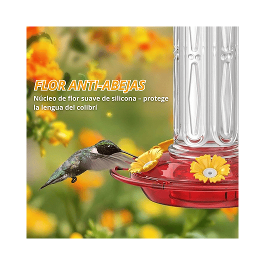 Bebedero Aves Colibríes Plástico De Jardín Colgante x600ml 6