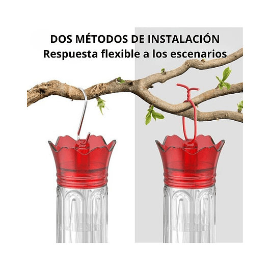 Bebedero Aves Colibríes Plástico De Jardín Colgante x600ml 7