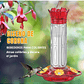 Bebedero Aves Colibríes Plástico De Jardín Colgante x600ml - Miniatura 10