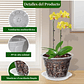 Macetas Transpirable 10cm Para Orquídeas x8 unidades con Platillo - Miniatura 3