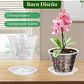Macetas Transpirable 10cm Para Orquídeas x8 unidades con Platillo - Miniatura 5