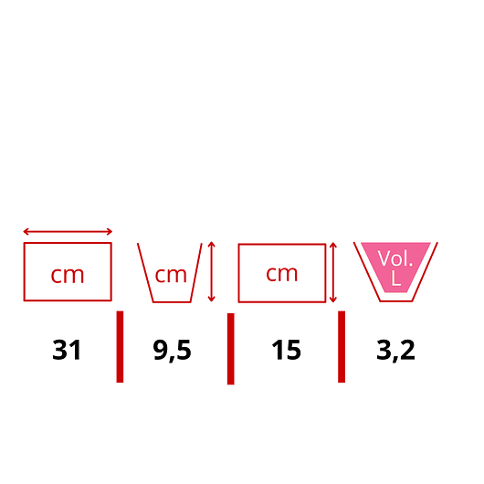 Canasta Plantas Pared Más nido Coco x31cm Largo Rectangular 3