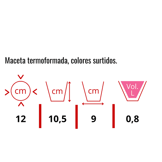Matera - Maceta Tipo Vivero Color #12x10. Paquete x25 Unidades 7