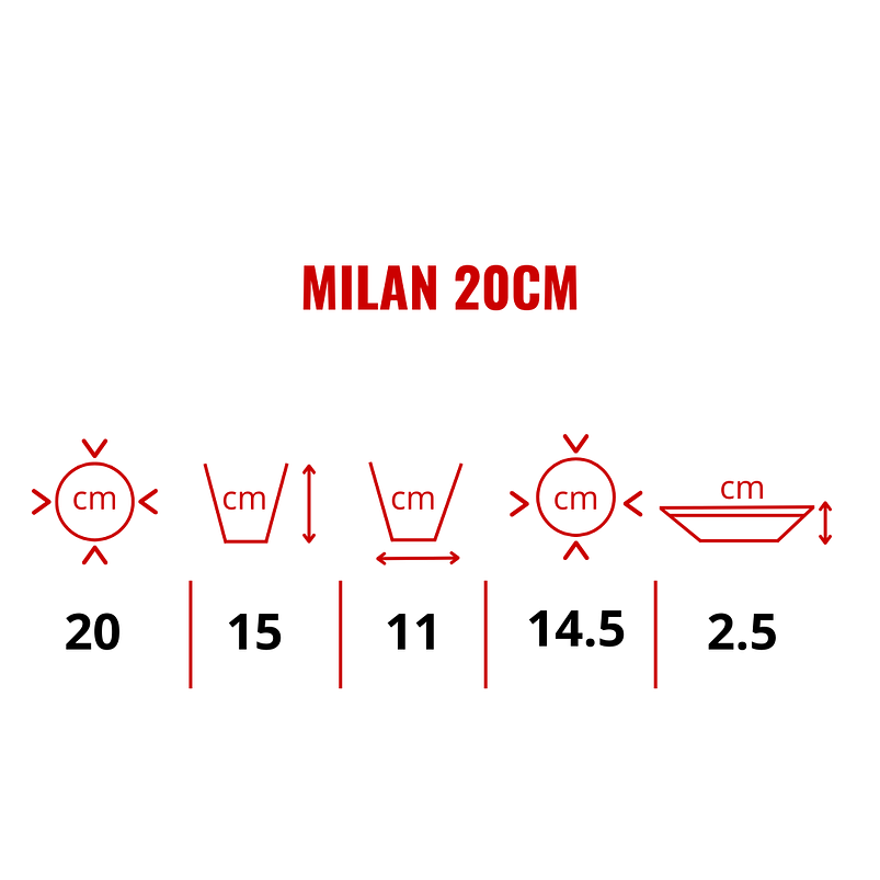 Maceta Plástica Plantas Clásica Más Plato 20 centímetros Diámetro x15 centímetros Alto 3