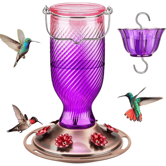 Bebedero De Colibríes En Vidrio 24 Oz Con 6 Puertos 3