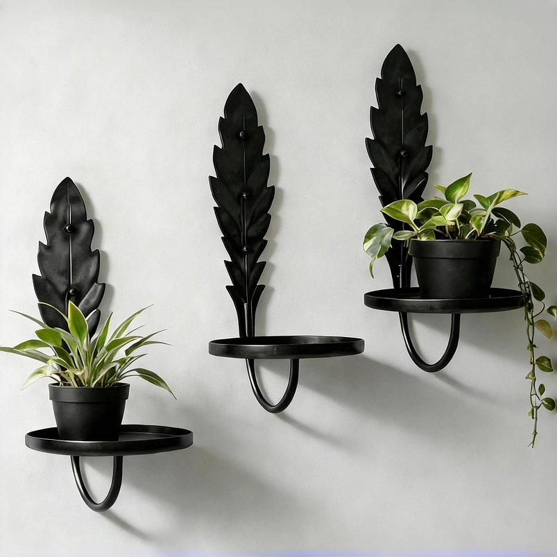 Soporte Metalico De Pared Decorativo Plantas y Macetas x3 Unidades 1