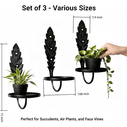 Soporte Metálico De Pared Para Plantas Decorativo X3und 5