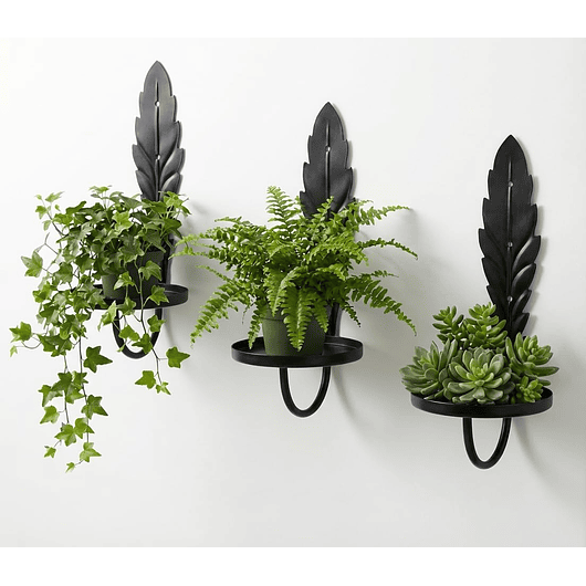 Soporte Metálico De Pared Para Plantas Decorativo X3und 7