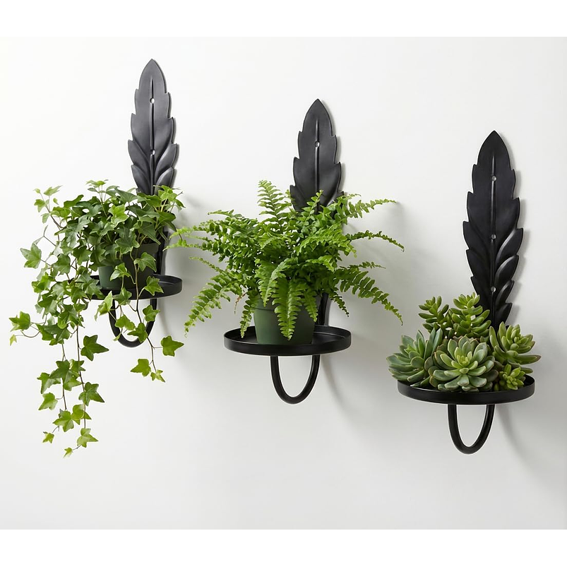 Soporte Metalico De Pared Decorativo Plantas y Macetas x3 Unidades 7